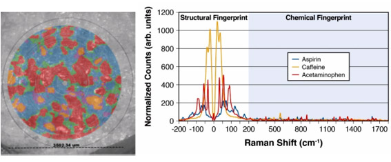 Abb. 4: Mapping einer Excedrin-Tablette mit 27.000 spektralen Datenpunkten, gemessen über einen Durchmesser von 3,5 mm der Tablette in 9 min. Das Raman-Bild zeigt die verschiedenen Komponenten und wurde zur Visualisierung über das polarisierte Lichtmikroskopbild gelegt. Die Spektren rechts demonstrieren die Signalunterschiede in der „Strukturellen Fingerprint“-Region.  