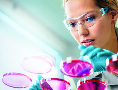 Bayer stärkt Pharmaforschung