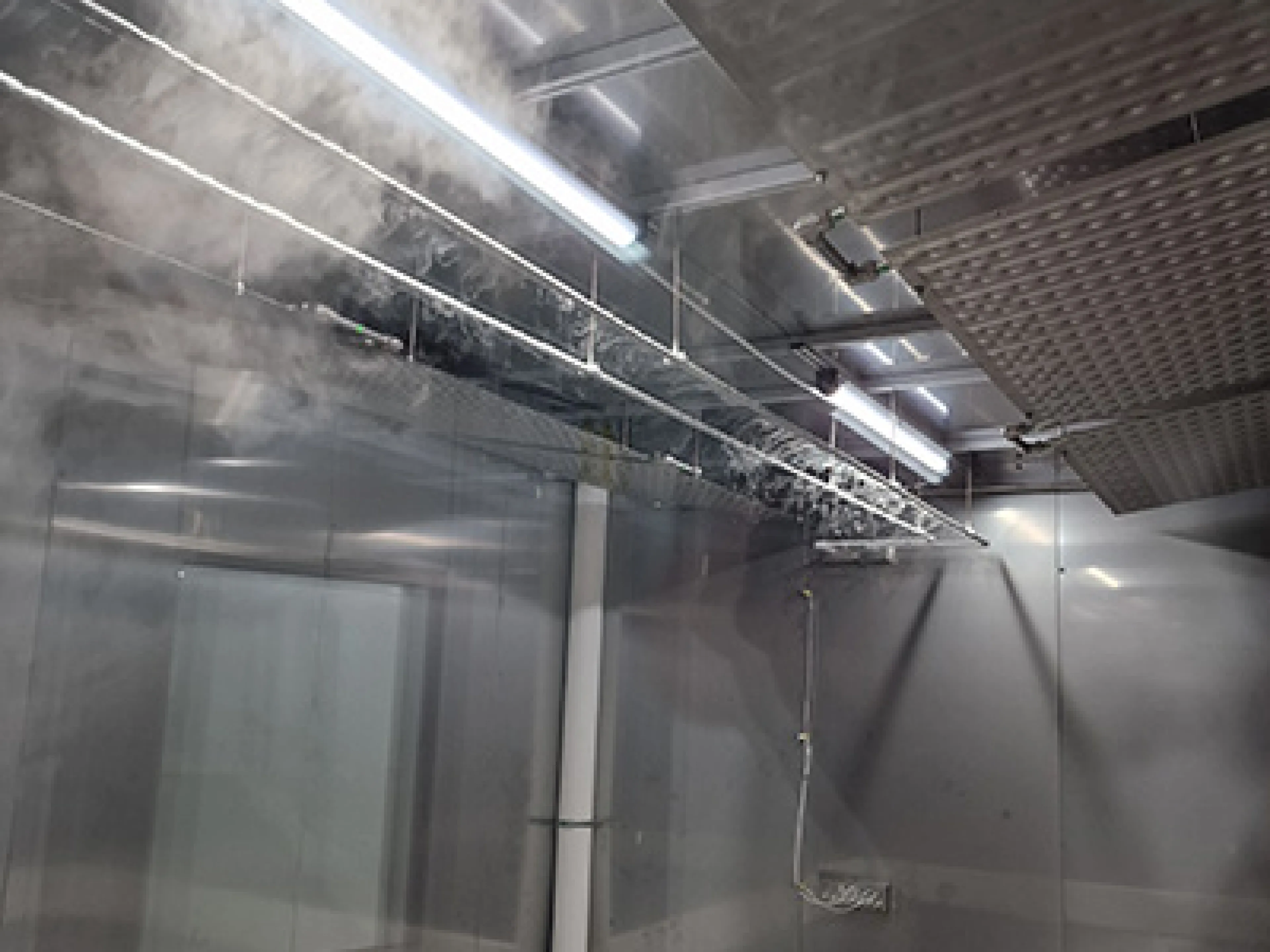 Verschiedene spezialisierte Räume wie der Kühlraum bei minus 80 Grad Celsius sorgen für eine optimale Lagerung der IDT Biologika