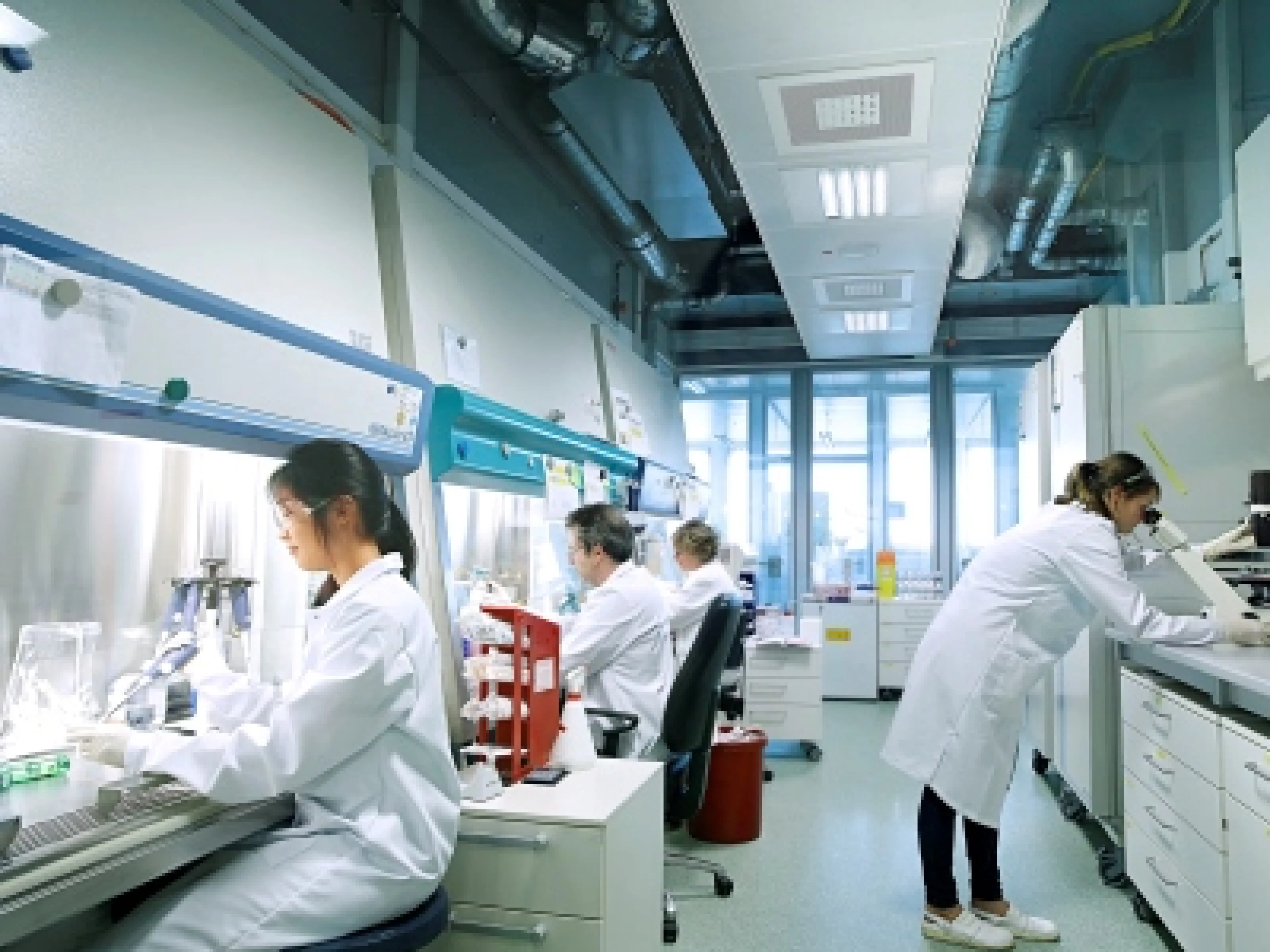 Bayer Forschung