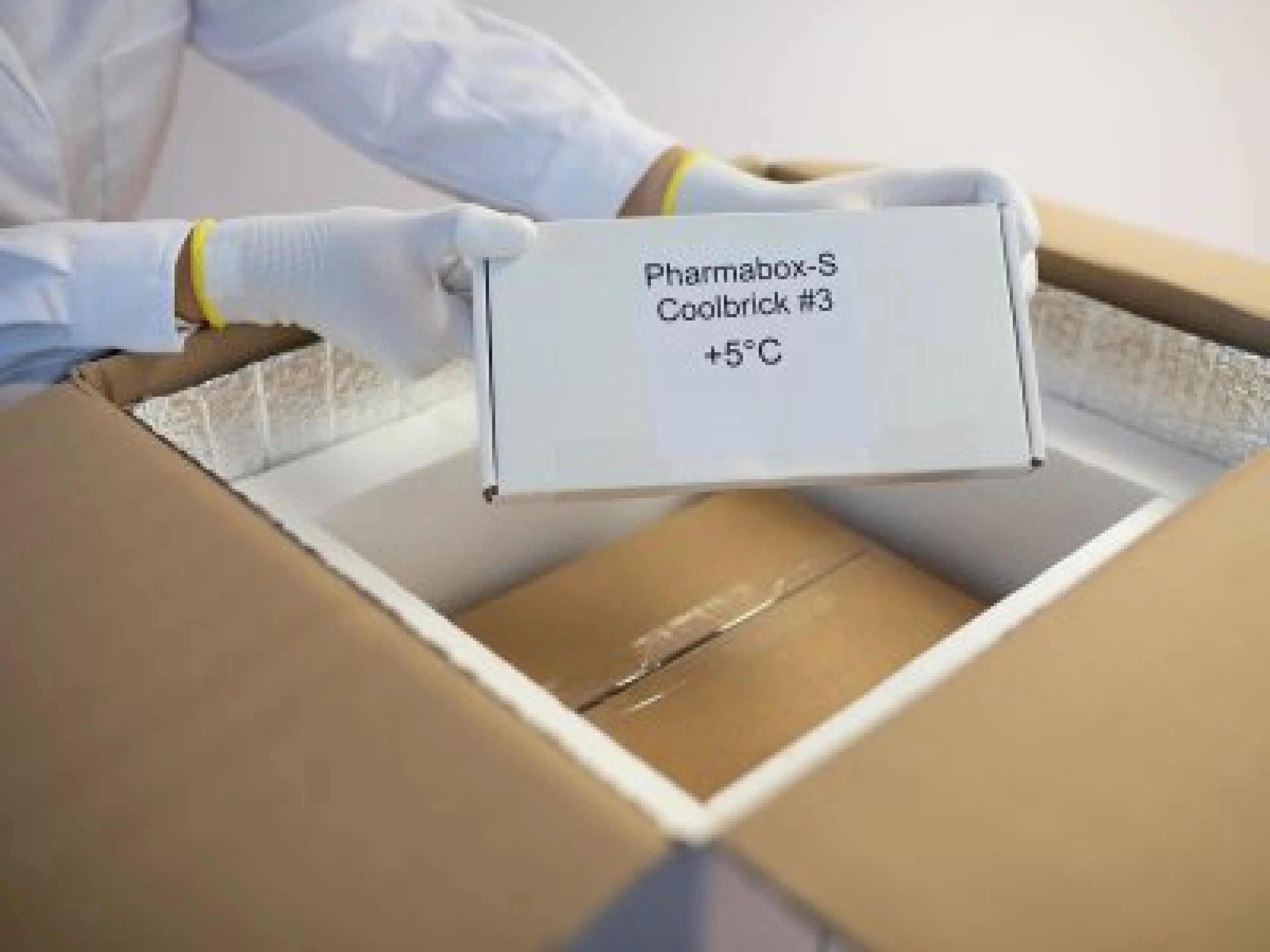 Die Pharmabox für den GDP-konformen Transport von Impfstoffen