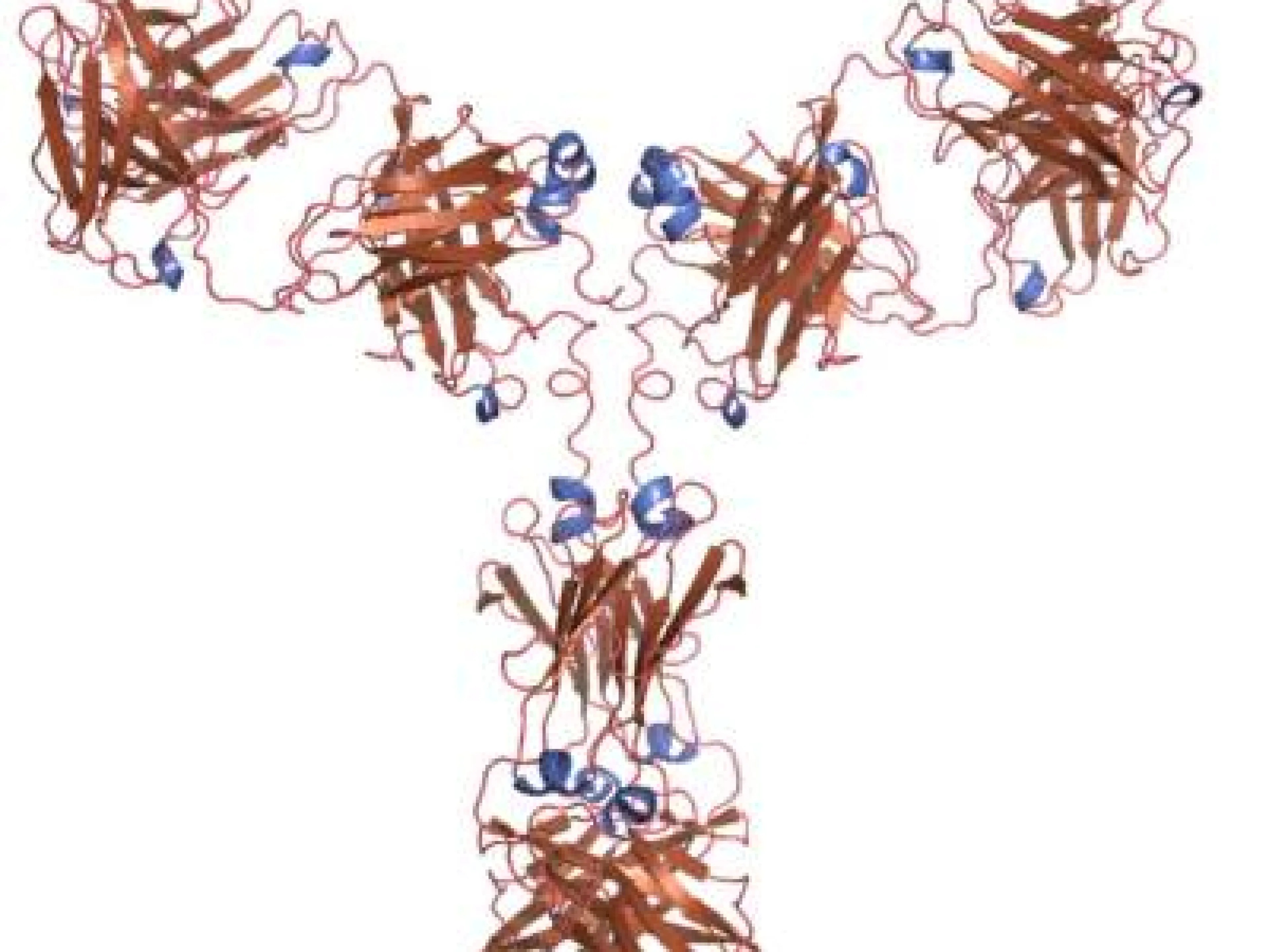 Erbitux