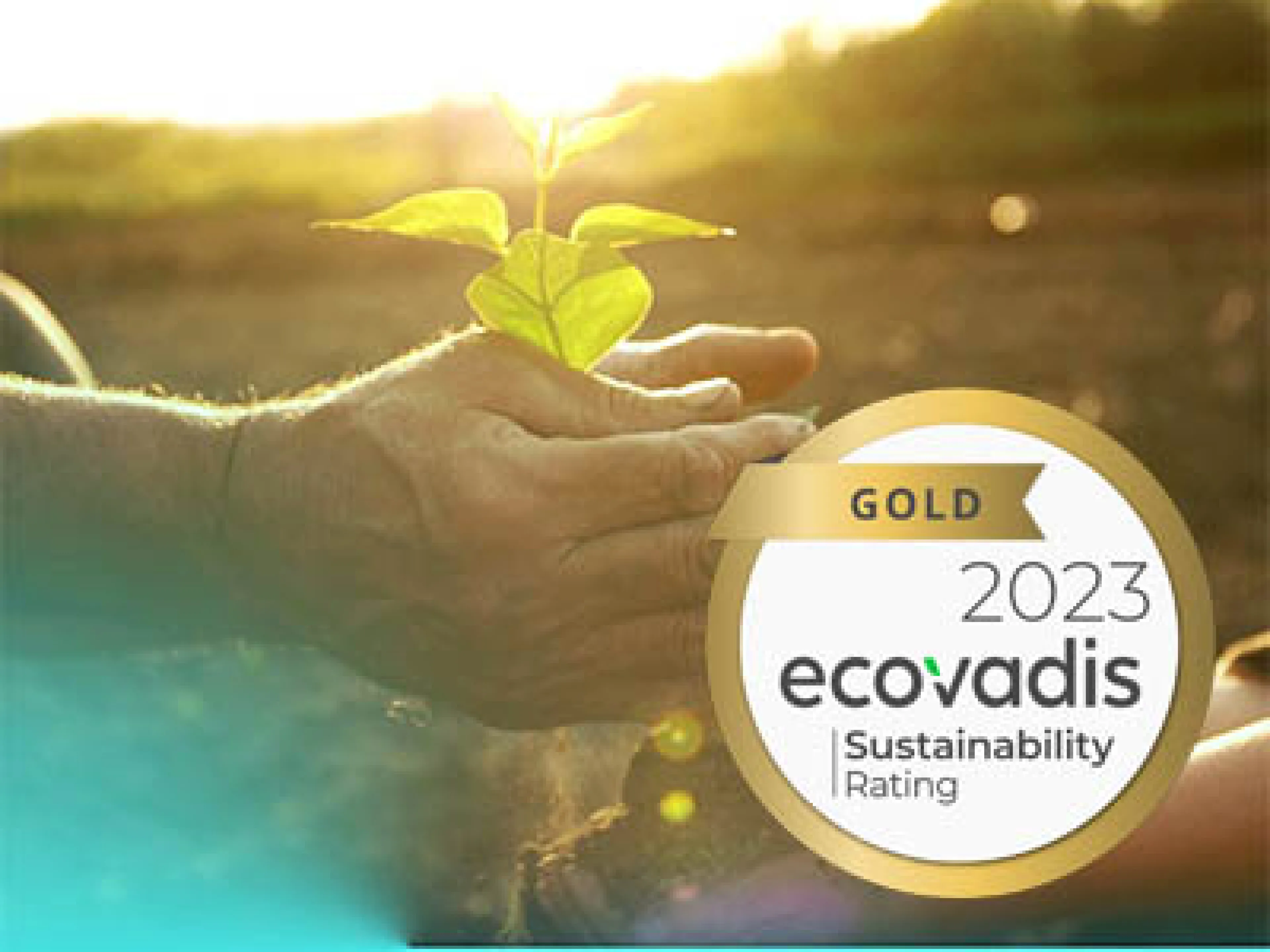 Gerresheimer zum zweiten Mal mit Ecovadis Gold ausgezeichnet