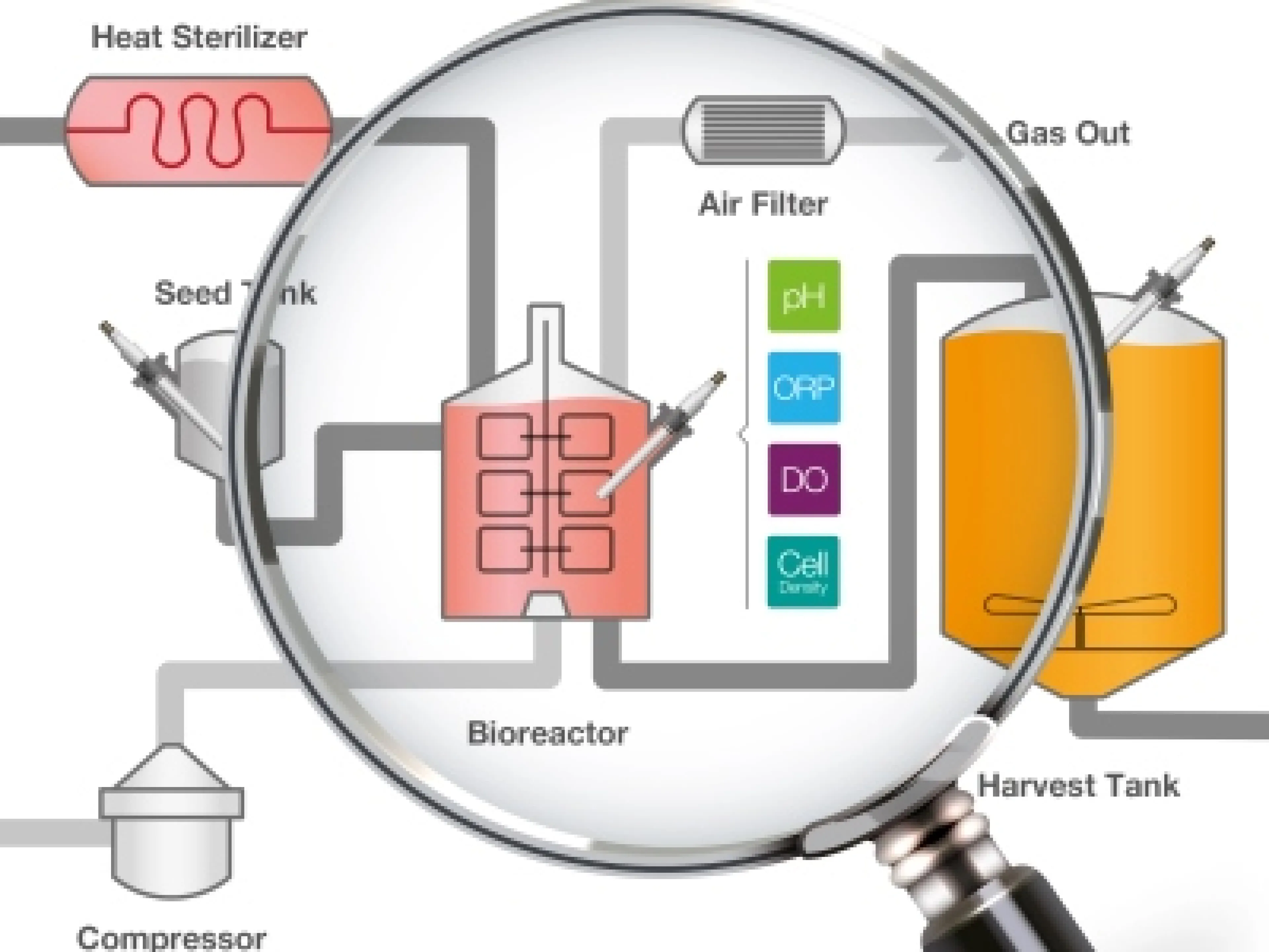 Hamilton Whitepaper zum Thema „PAT in der Biopharmabranche“