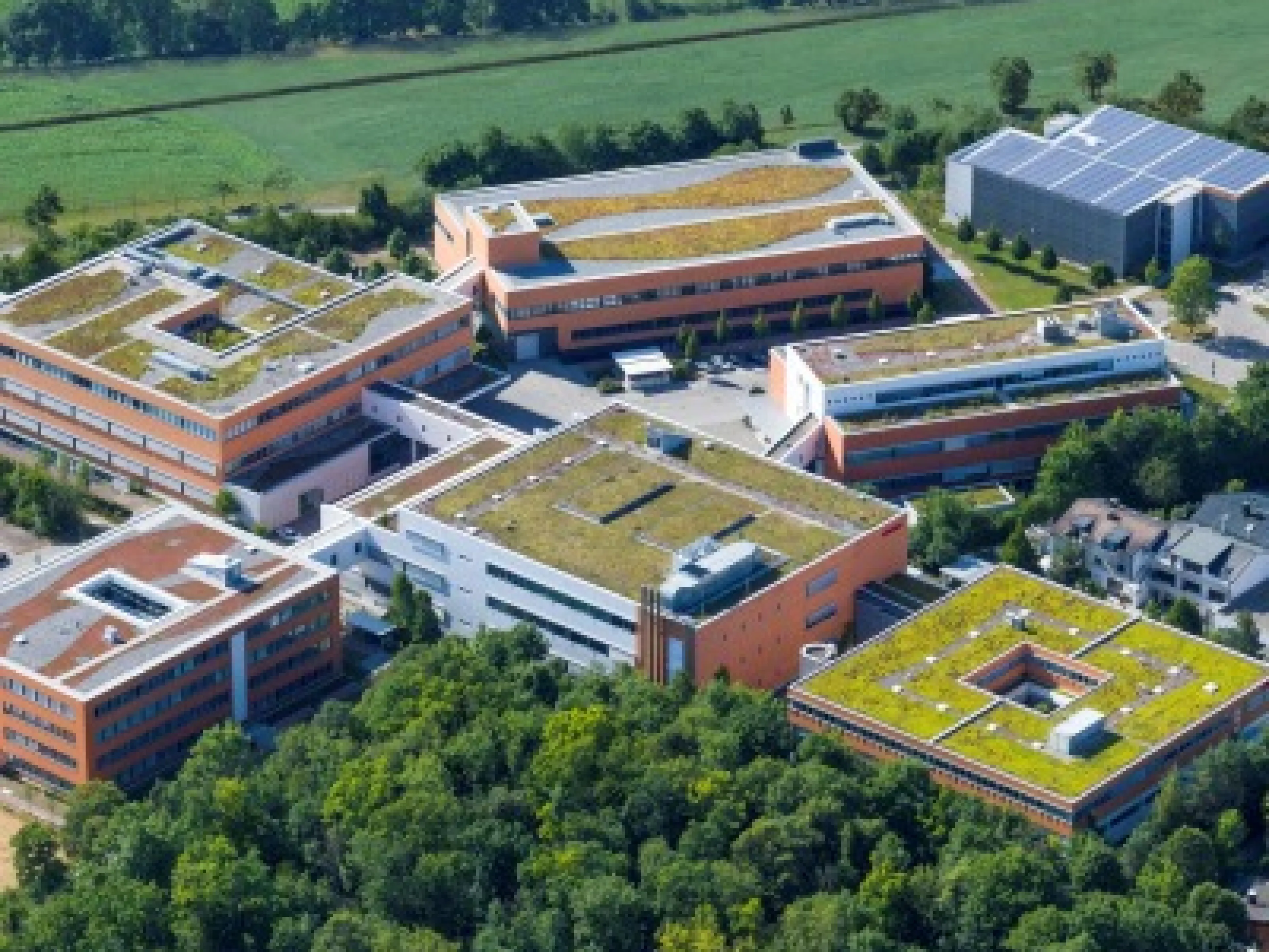 Die Schreiner Group aus Oberschleißheim hat in ihrem strategischen Nachhaltigkeitsziel beschlossen, dass sie bereits 2030 komplett klimaneutral sein will