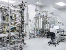 Als Auftragshersteller betreibt Wacker Biotech US Inc. in San Diego eine spezialisierte Fermentationslinie zur Herstellung und Aufreinigung von Plasmid-DNA