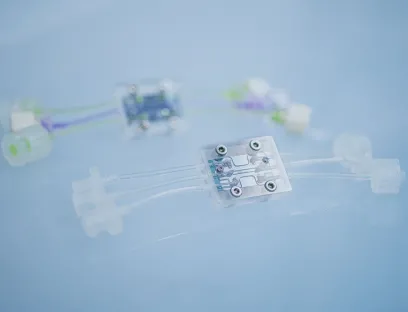 Merck und Imec entwickeln modulare, skalierbare MPS-Plattformen, die mit beispielloser Genauigkeit Reaktionen des menschlichen Körpers simulieren und zuverlässige, hochwertige Trainingsdaten für KI-Modelle liefern, um die Wirkstoffforschung verbessern