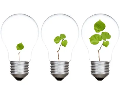 Frutarom Health erhöht Phytopharmaka-Kapazität