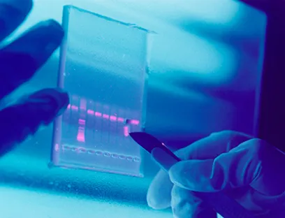 Die Aufgaben der neu geschaffenen Position reichen von der frühen Phase der Forschung & Entwicklung bis hin zur Verfügbarkeit neuer medizinischer Lösungen auf dem Markt, Bild: Sanofi Forschung