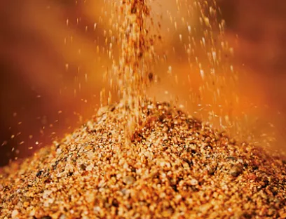 Solids 2018 setzt Fokus auf Lebensmittel-, Chemie- und Pharmaindustrie