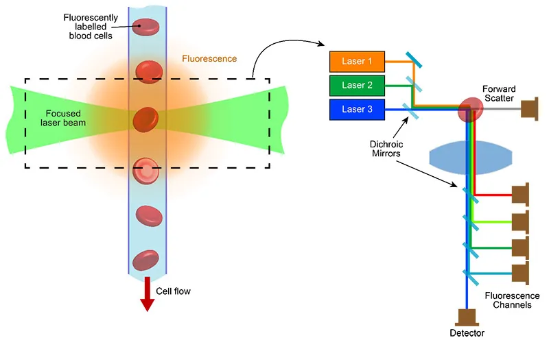 coherent-zytometrie-laser.jpg coherent-zytometrie-laser.jpg