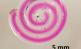 Gedruckte Faser, die lebende medikamentenproduzierende Bakterien im Kern (rosa) enthält